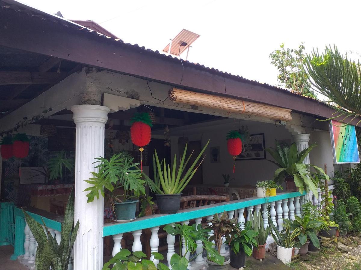 Paraiso Hostel Moalboal Extérieur photo