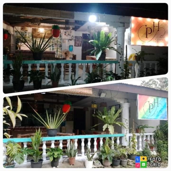 Paraiso Hostel Moalboal Extérieur photo